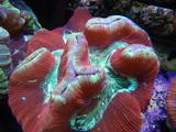 th_IMGP0323 2